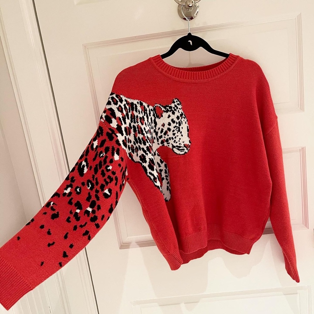Cheetah Sweater - Picture 2 of 4
